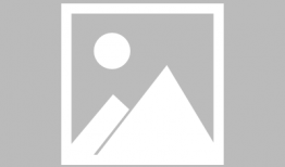 穿越火线手游灵狐爆料最新,穿越火线手游爆料揭秘