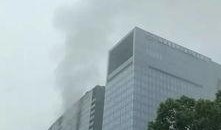 蓝色钱江最新爆料,揭秘事件背后惊人真相