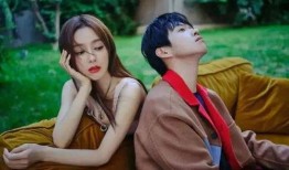 杨紫魏大勋最新爆料,揭秘幕后故事与幕后英雄