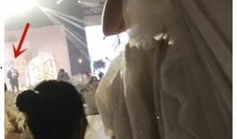 嘴哥最新爆料结婚,明星夫妻甜蜜大婚，浪漫瞬间引网友热议