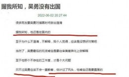 知情人爆料吴勇最新,揭秘背后故事与创作灵感