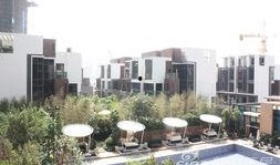 海伦堡爆料最新消息今天,揭秘今日热点事件内幕